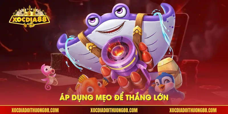 Áp dụng mẹo để thắng lớn