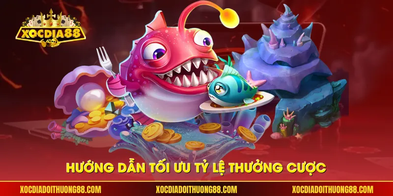 Hướng dẫn tối ưu tỷ lệ thưởng cược